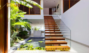 HIKARI Bể Cá đặt Dưới Giếng Trời